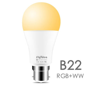 Smart LED Light Bulb